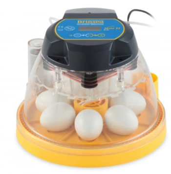 Incubators for Hawks, Falcons & Parrots