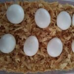 Moluccan Cockatoo Parrot Eggs