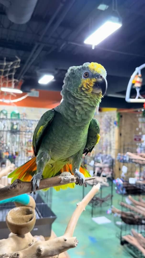 WhatsApp Image 2026-09-15 at 12.00.17 PM (4)