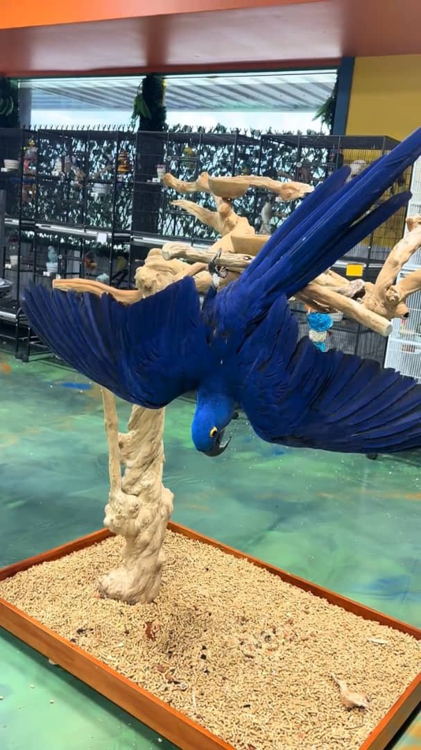 WhatsApp Image 2026-09-15 at 12.00.31 PM