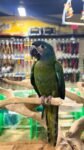 WhatsApp Image 2026-09-15 at 12.00.33 PM (2)