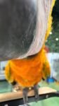 WhatsApp Image 2026-09-15 at 12.00.35 PM (3)